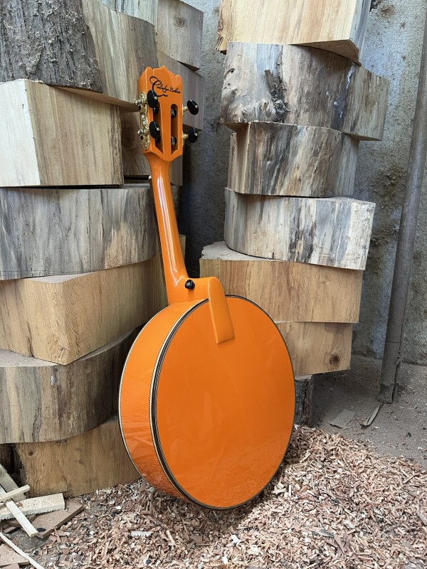 Banjo Modelo Color - feito sob encomenda, 4 meses